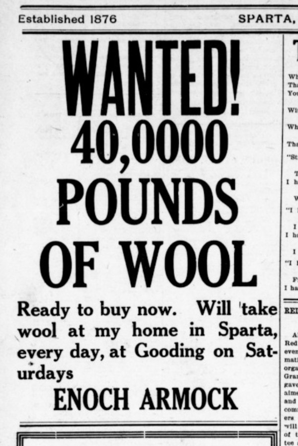 Wanted Wool